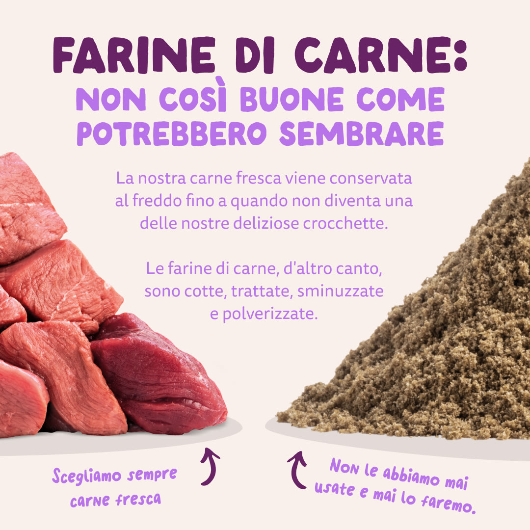 11 Dog-Refresh DTC-Assets IT Puppy-Salmon MEAT-VS-MEAT MEAL