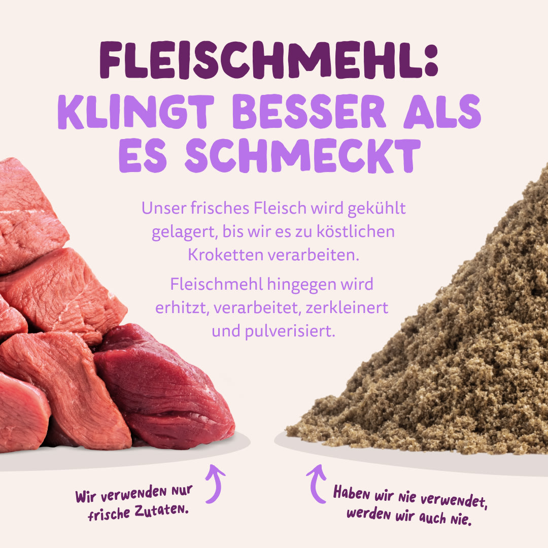 11 Dog-Refresh DTC-Assets DE Puppy-Salmon MEAT-VS-MEAT MEAL