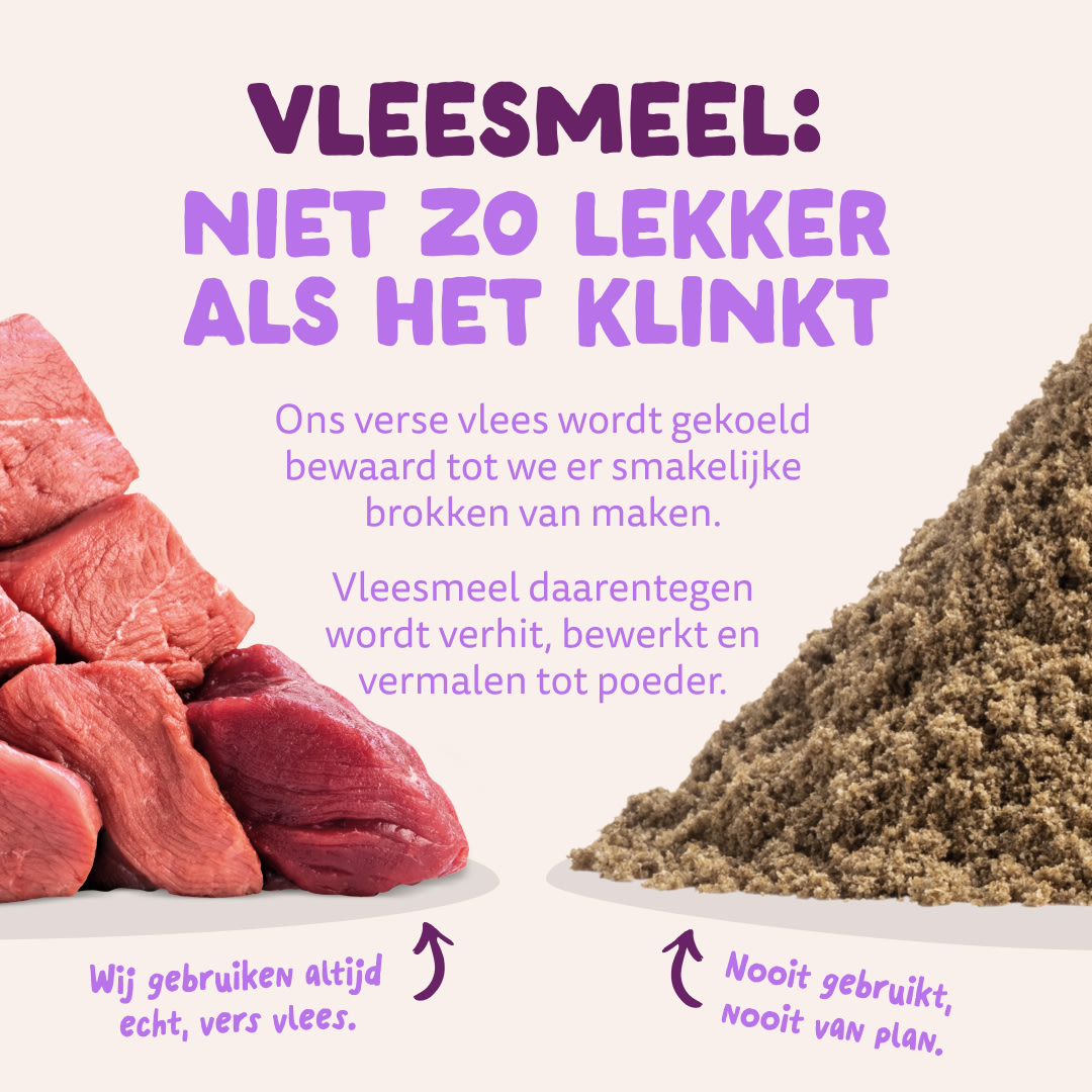 11 Dog-Refresh DTC-Assets NL Puppy-Salmon MEAT-VS-MEAT MEAL