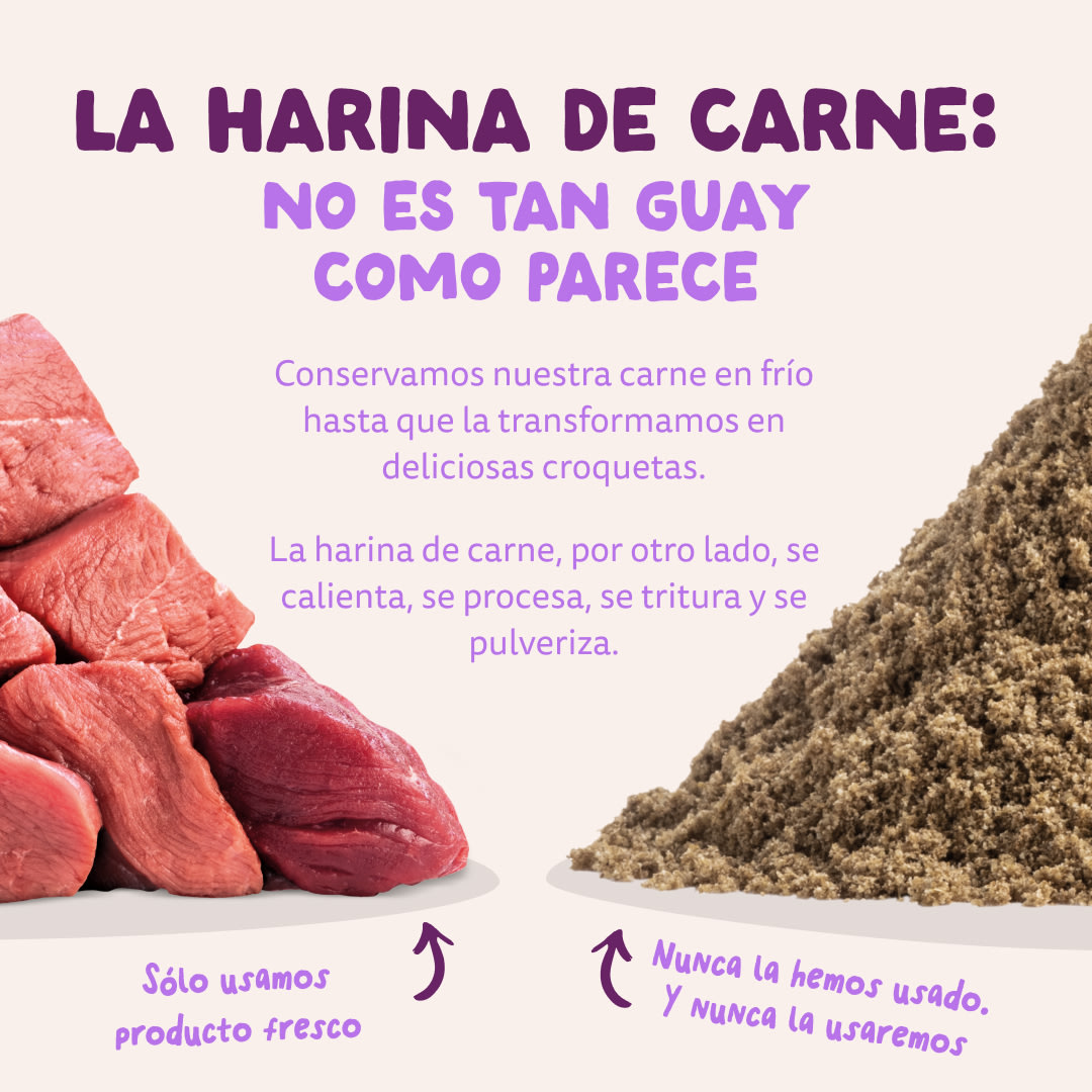 11 Dog-Refresh DTC-Assets ES Puppy-Salmon MEAT-VS-MEAT MEAL