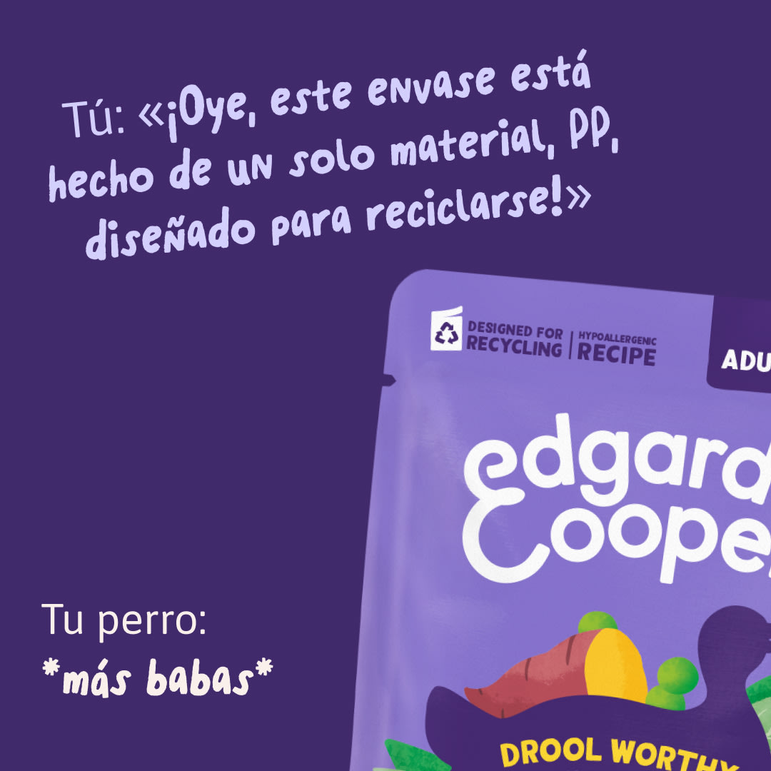 11 DWD D2C ES Duck Recycling