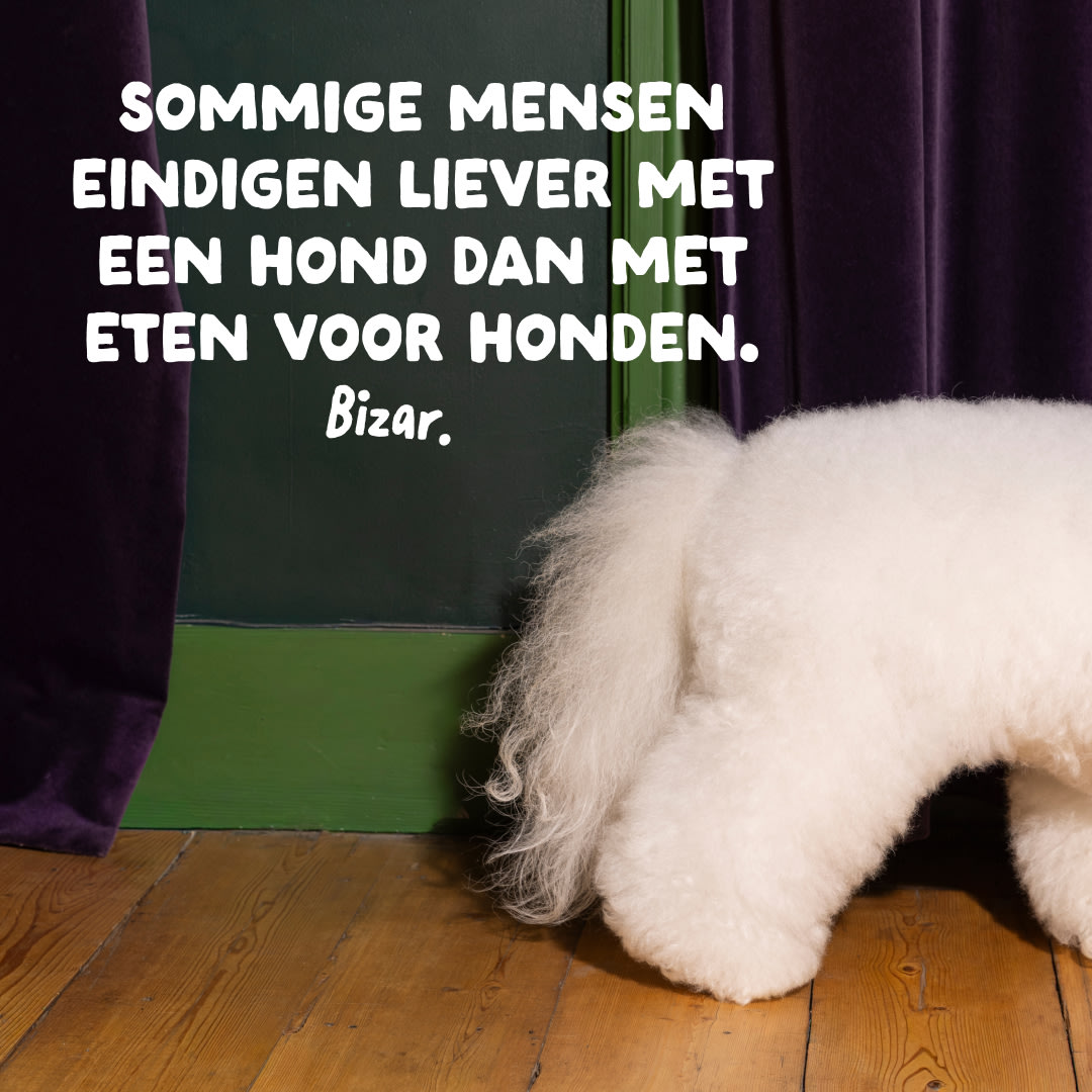 13 Dog-Refresh DTC-Assets NL Adult-Carrot CLOSE