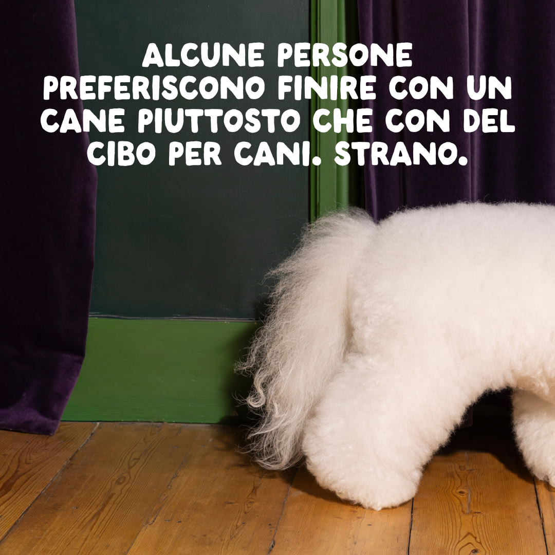 13 Dog-Refresh DTC-Assets IT Adult-Beetroot CLOSE