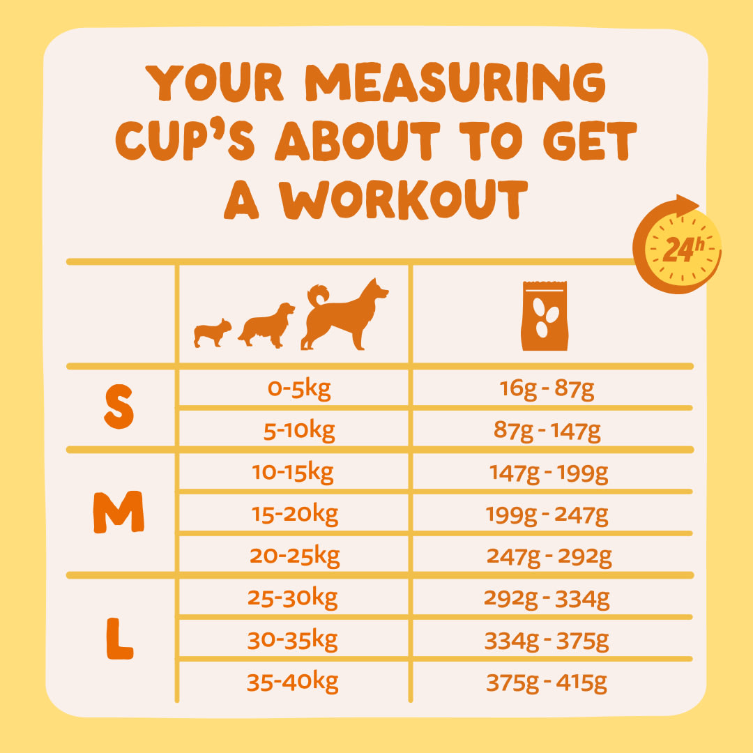 8 Dog-Refresh DTC-Assets EN Organic-Turkey FEEDING-GUIDELINE