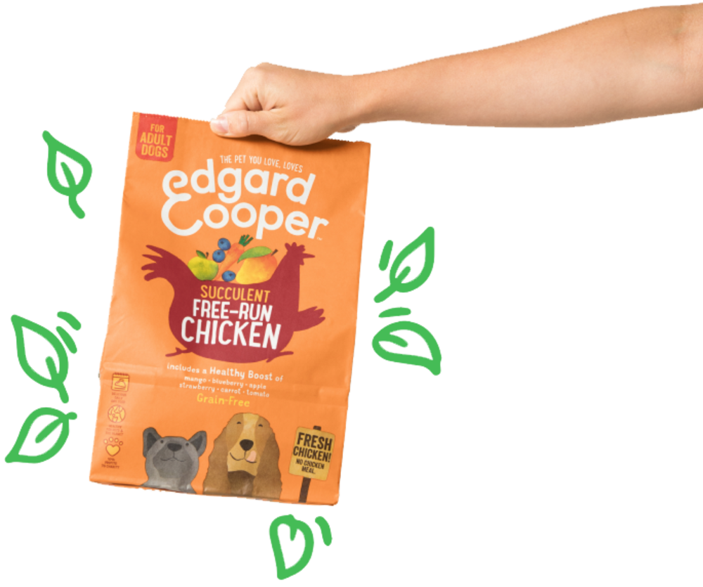 bagsMadePaper