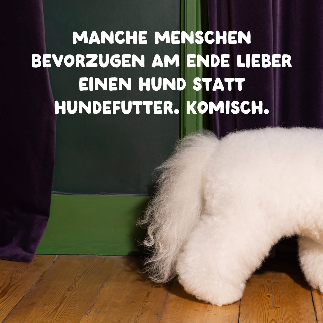 13 Dog-Refresh DTC-Assets DE Adult-Lamb CLOSE