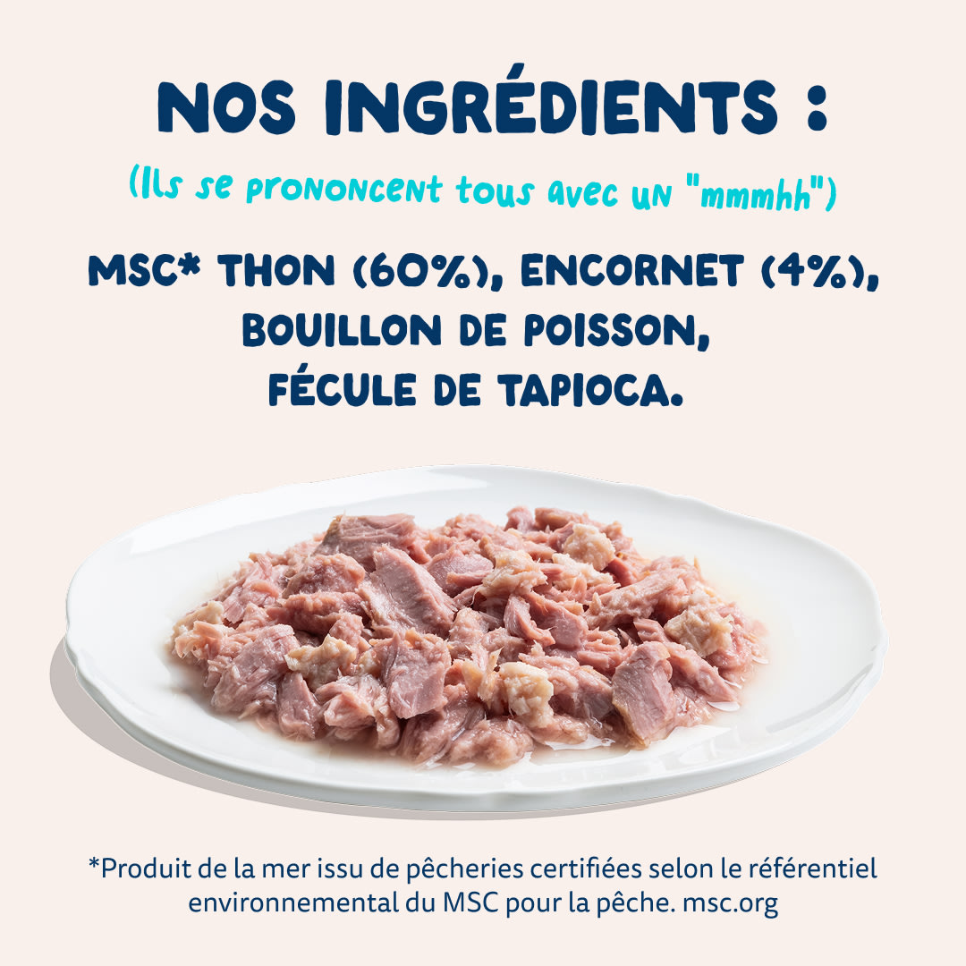 7 Cat-Fillets DTC FR TunaSquid Ingredients