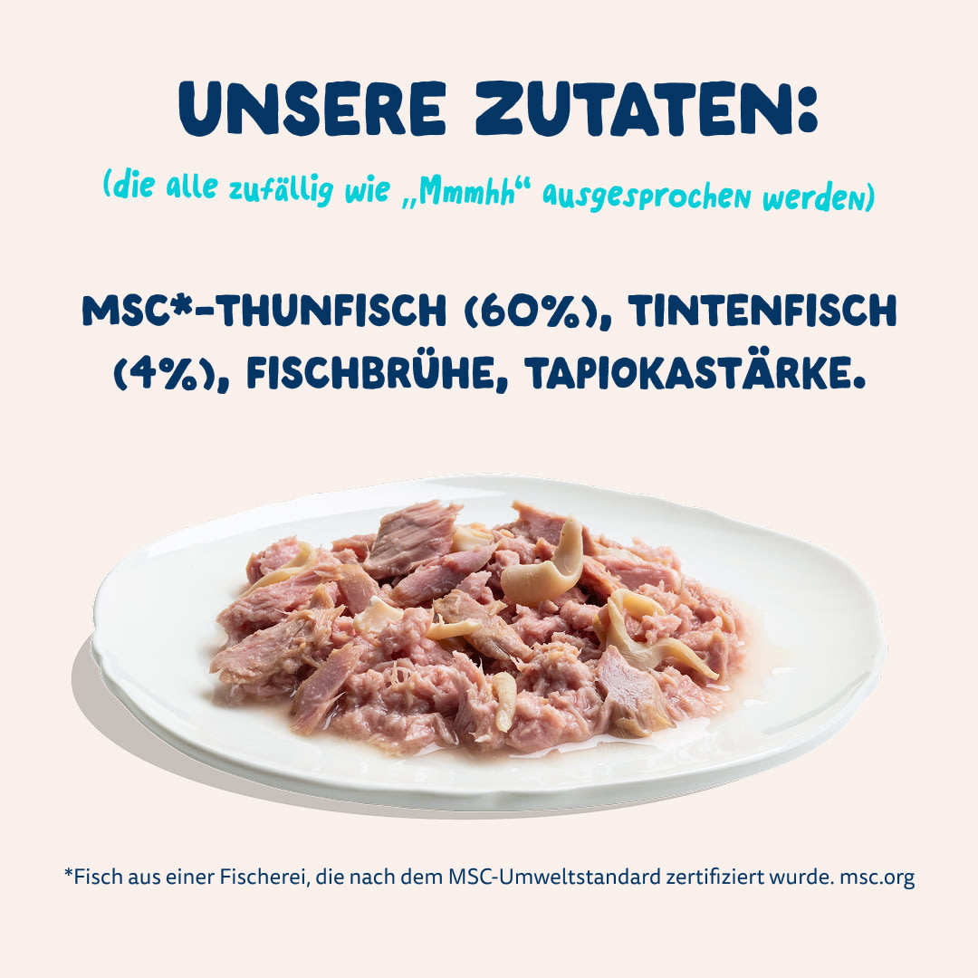 7 Cat-Fillets DTC DE TunaSquid Ingredients