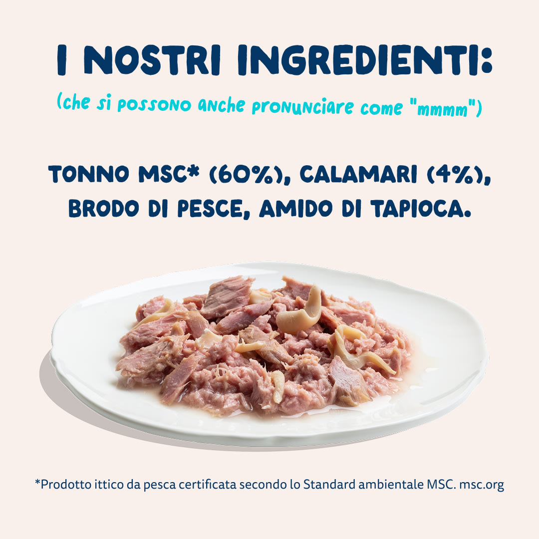 7 Cat-Fillets DTC IT TunaSquid Ingredients