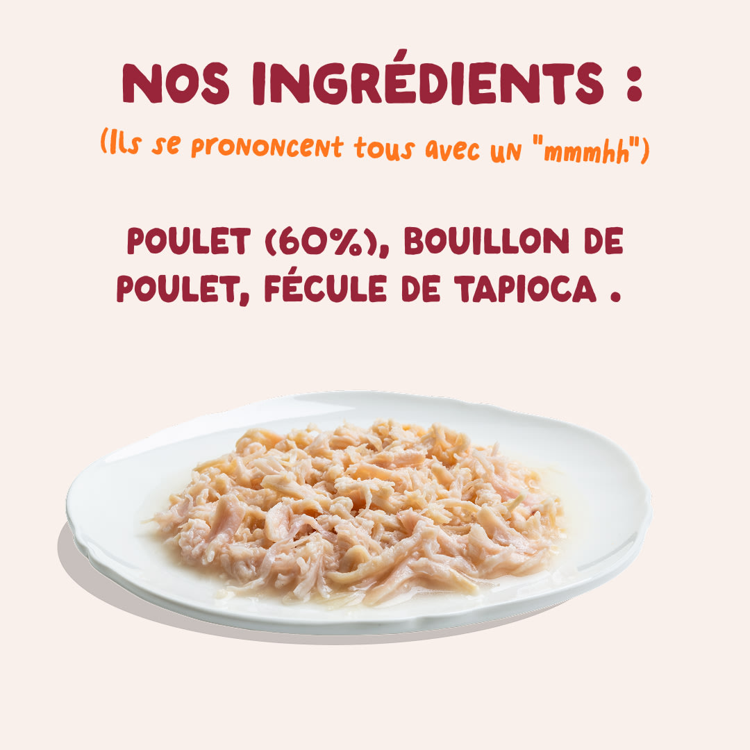 7 Cat-Fillets DTC FR ChickenNatural Ingredients