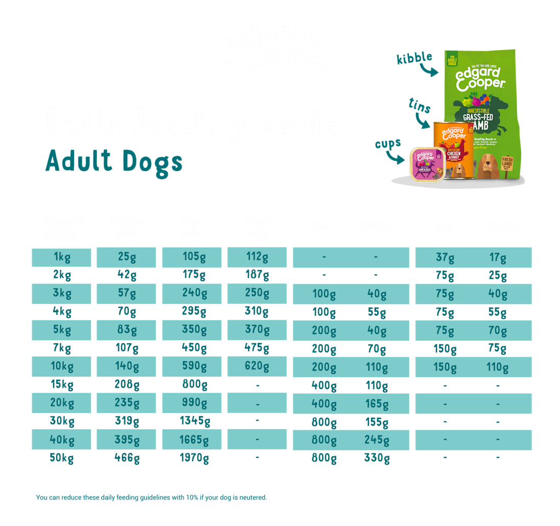 Feeding - Dog Adult All EN