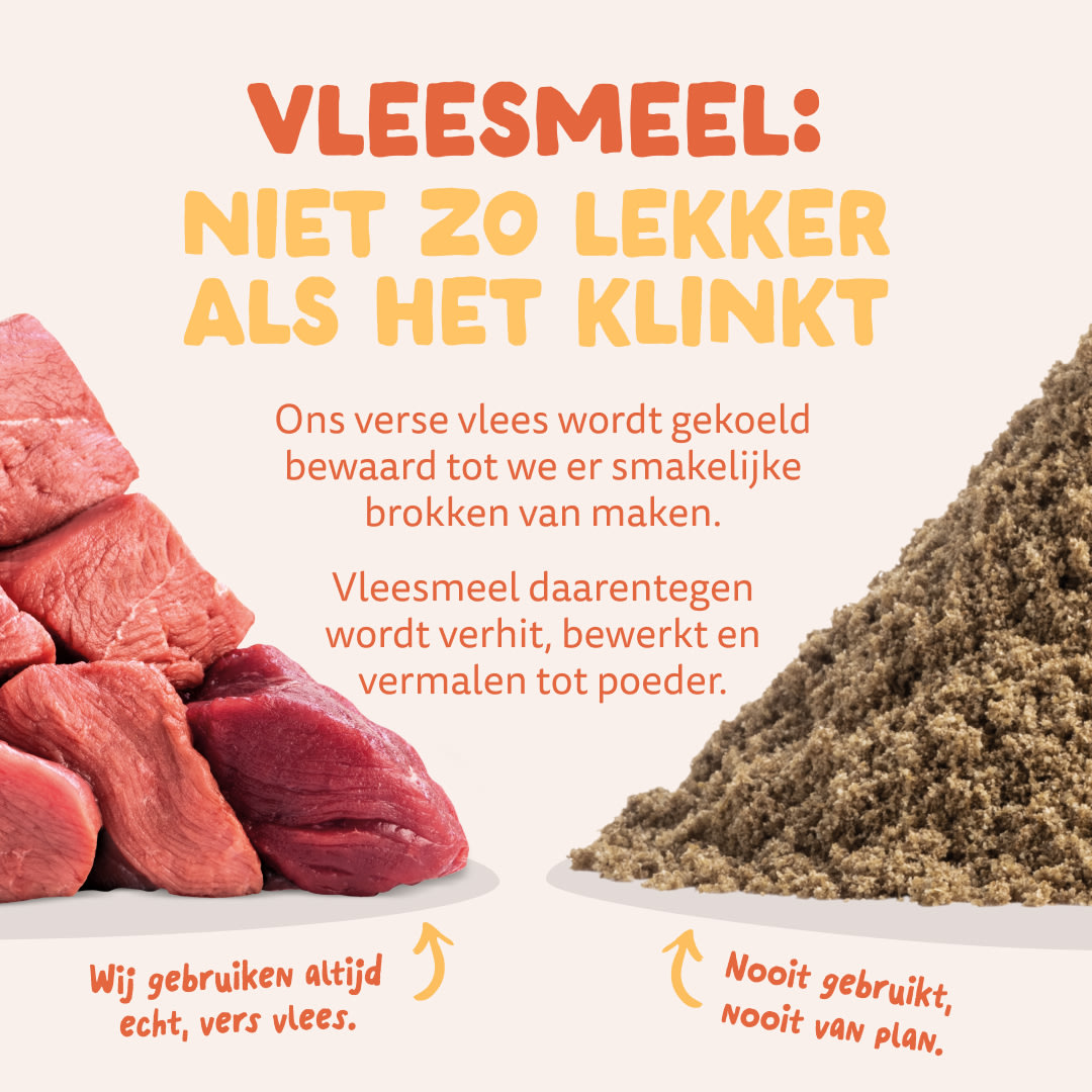 11 Dog-Refresh DTC-Assets NL Adult-Chicken MEAT-VS-MEAT MEAL