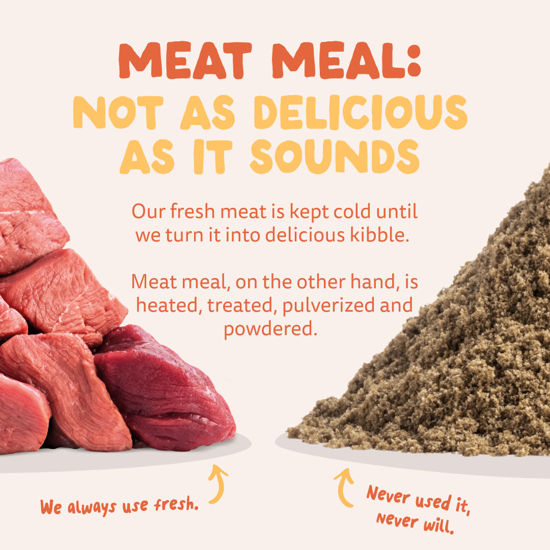 11. Dog-Refresh DTC-Assets Adult-Chicken MEAT-VS-MEAT MEAL