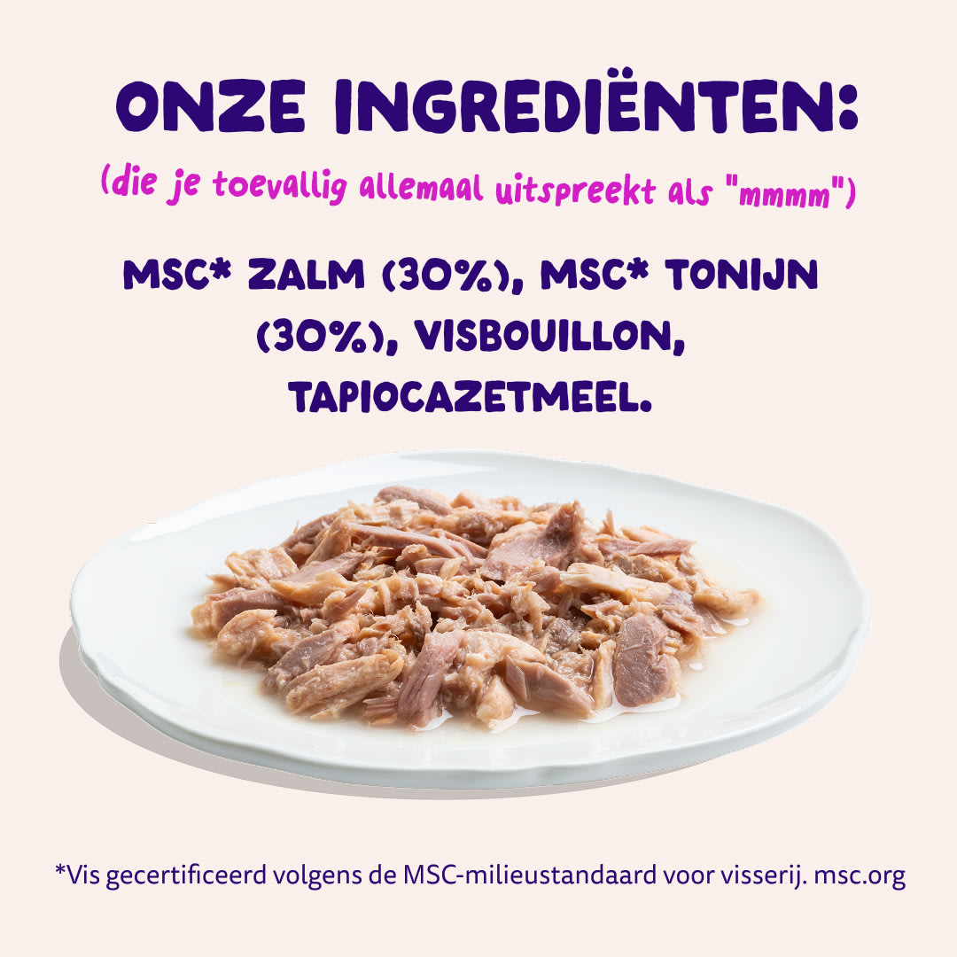 7 Cat-Fillets DTC NL SalmonTuna Ingredients