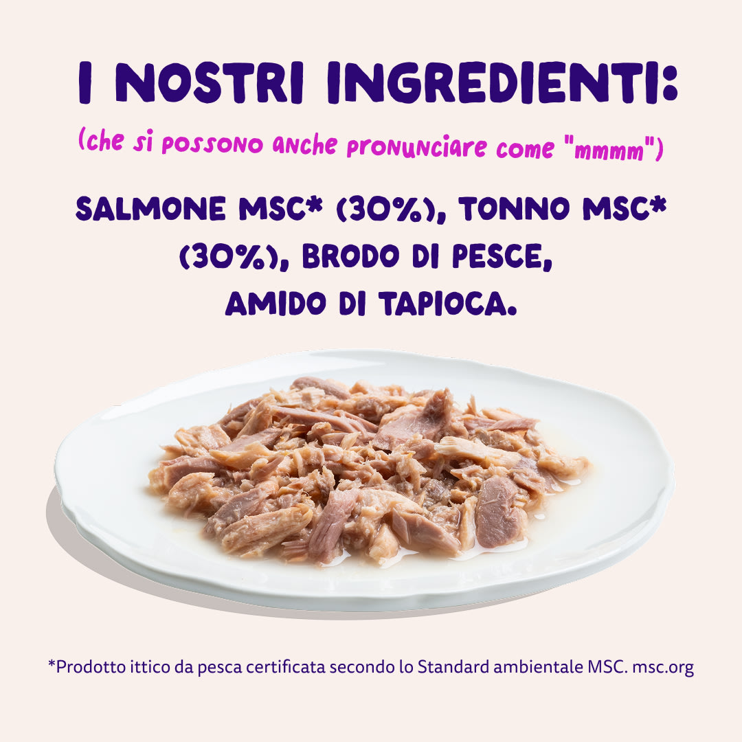 7 Cat-Fillets DTC IT SalmonTuna Ingredients