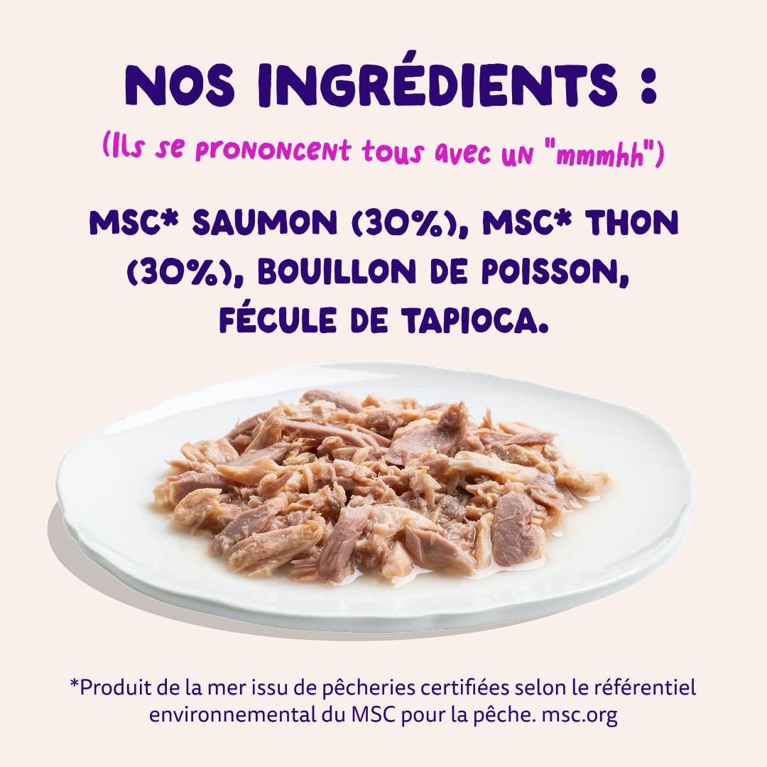 7 Cat-Fillets DTC FR SalmonTuna Ingredients