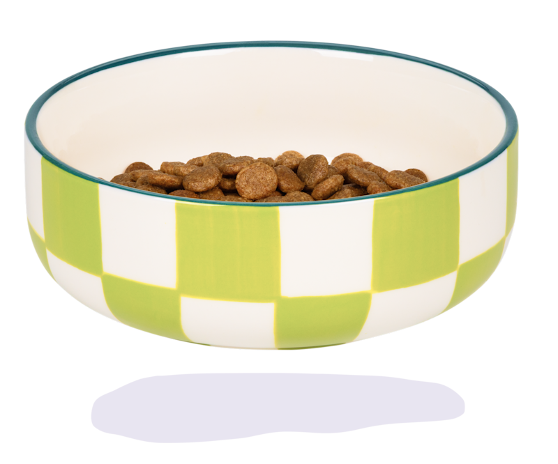 kibble-bowl-1
