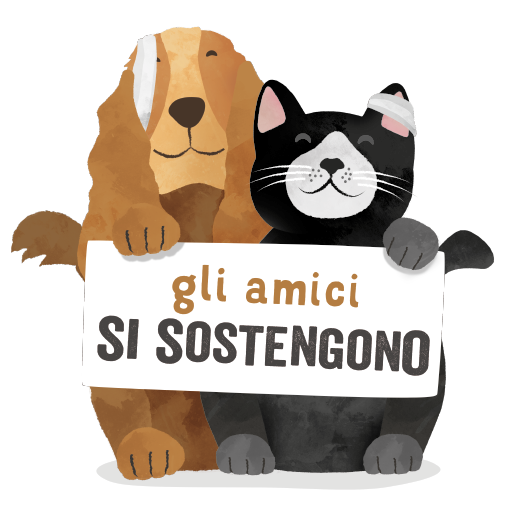 FriendsStickTogether IT