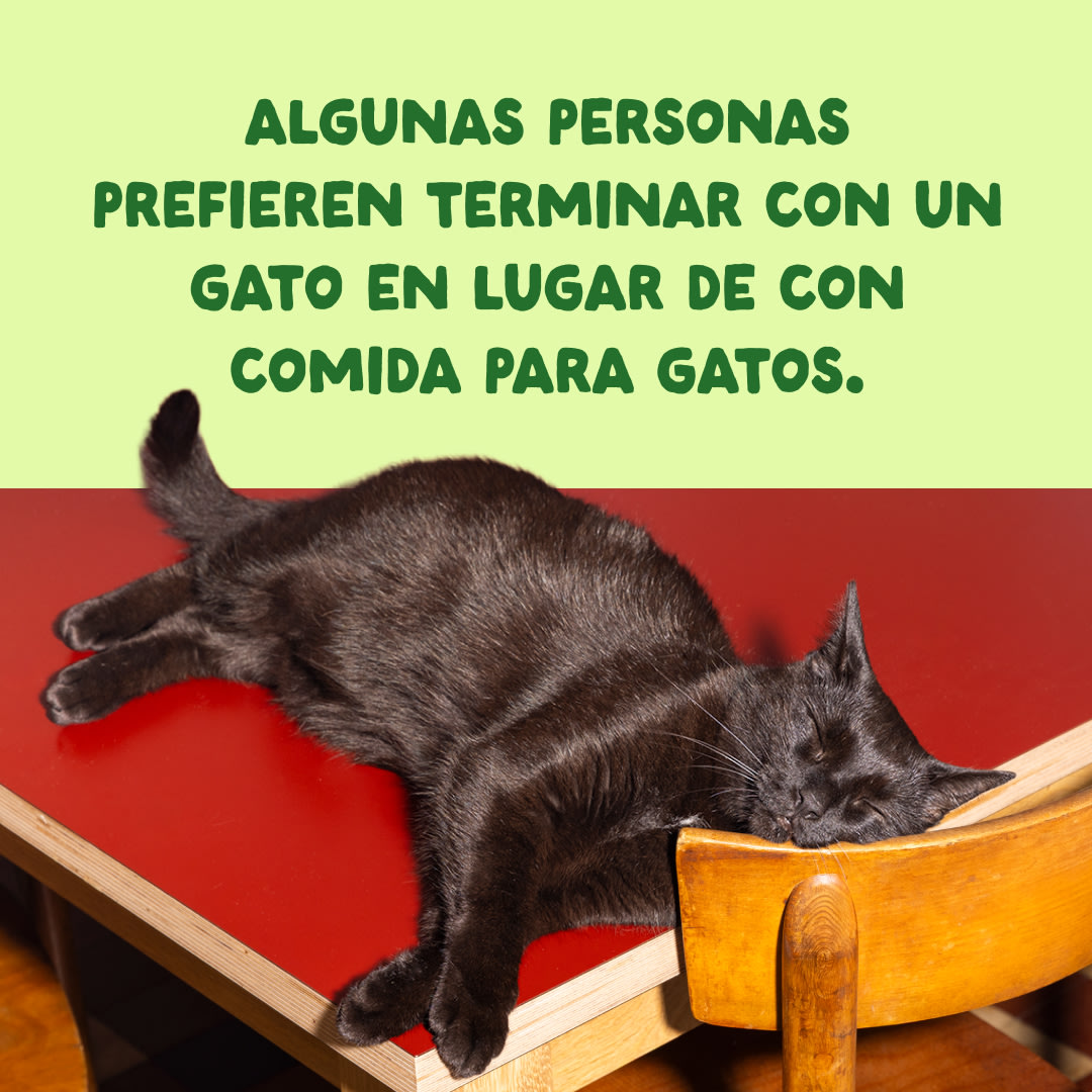 10 Cat-Fillets DTC ES MackerelNatural End