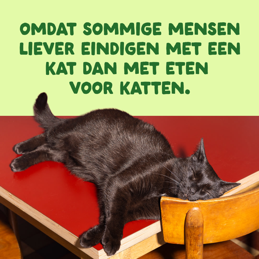 10 Cat-Fillets DTC NL MackerelNatural End