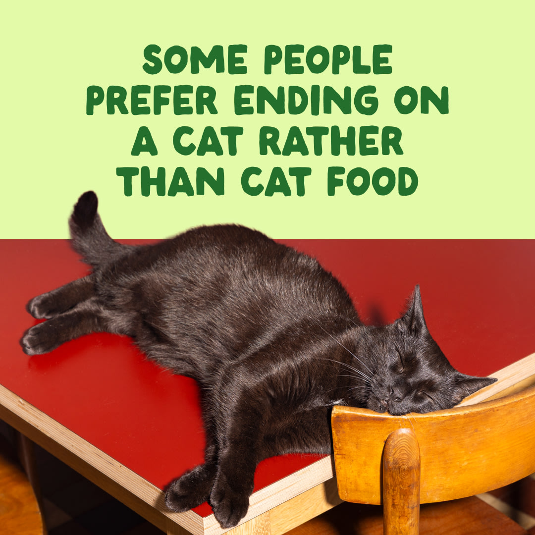 10 Cat-Fillets DTC EXP MackerelNatural End