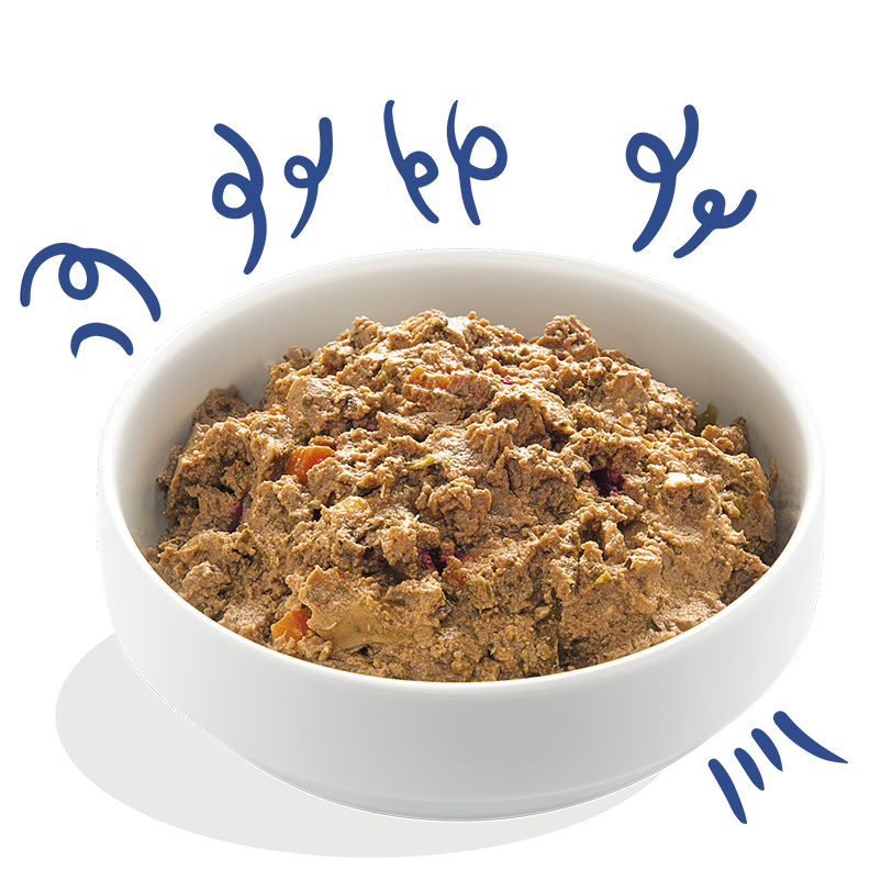 Product - Dog Adult Paté Salmon Turkey