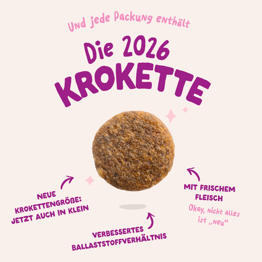3 Dog-Refresh DTC-Assets DE Puppy-Duck 2026 KIBBLE