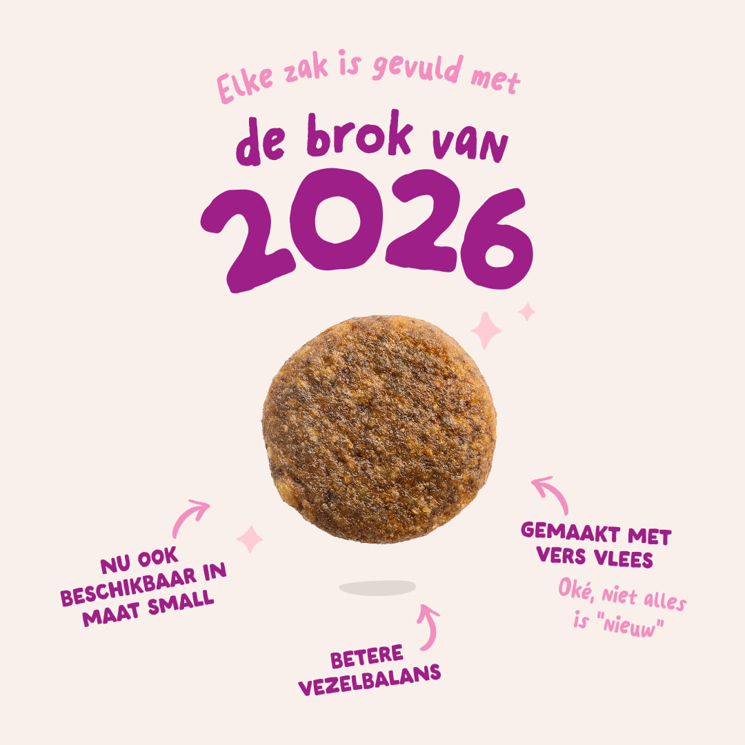 3 Dog-Refresh DTC-Assets NL Puppy-Duck 2026 KIBBLE