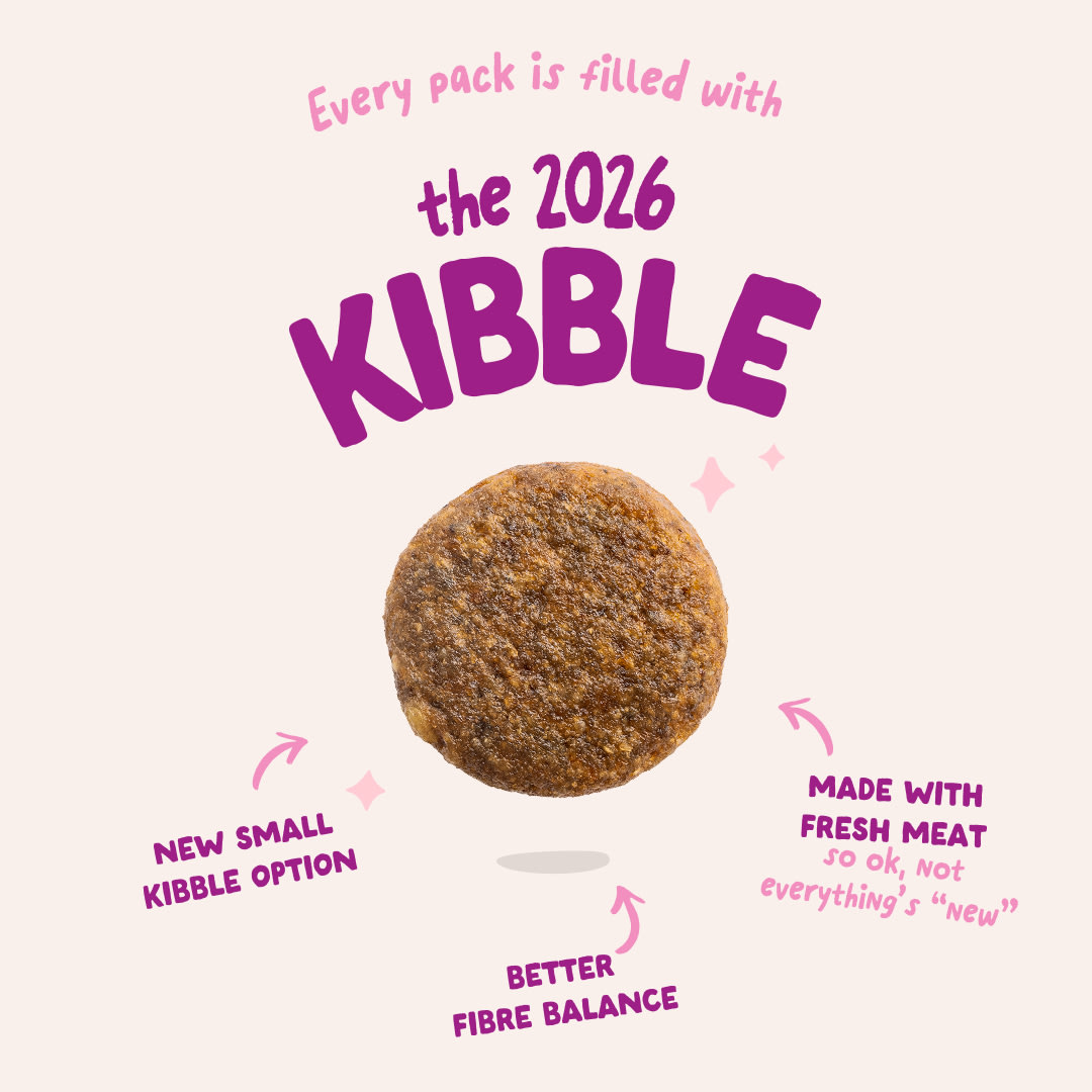 3 Dog-Refresh DTC-Assets EN Puppy-Duck 2026 KIBBLE