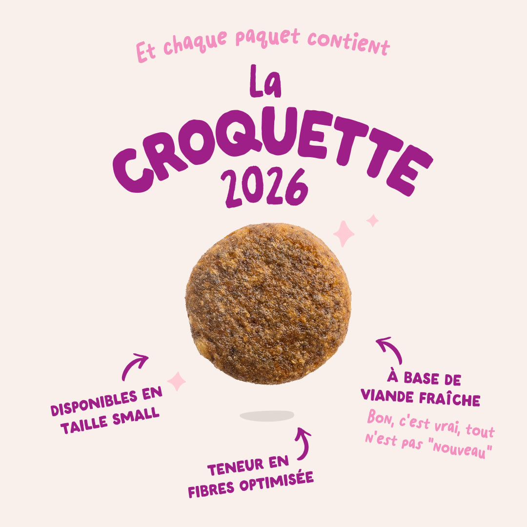 3 Dog-Refresh DTC-Assets FR Puppy-Duck 2026 KIBBLE