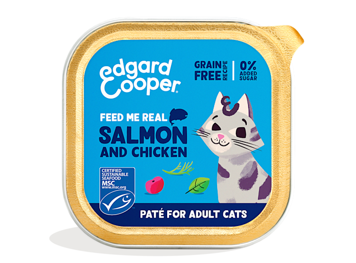 Pack - Cat Adult Pate Salmon Chicken EN