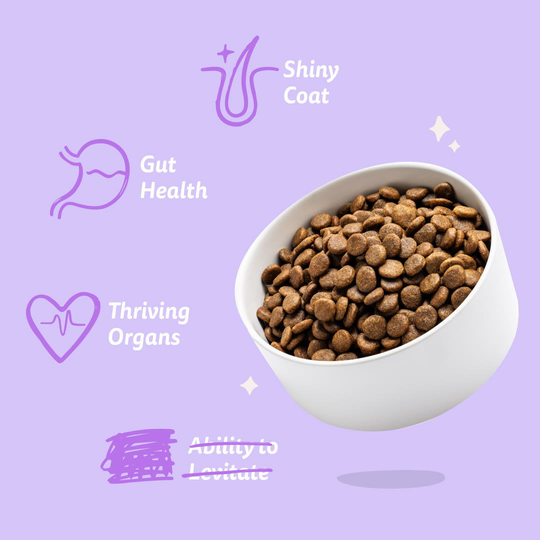 7 Dog-Refresh DTC-Assets EN Puppy-Salmon BENEFITS