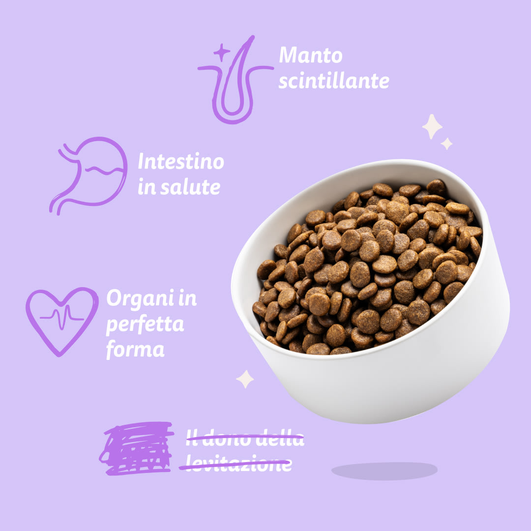 7 Dog-Refresh DTC-Assets IT Puppy-Salmon BENEFITS