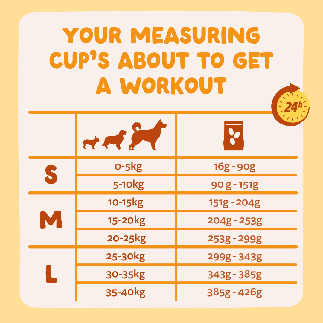 8 Dog-Refresh DTC-Assets EN Adult-Carrot FEEDING-GUIDELINE