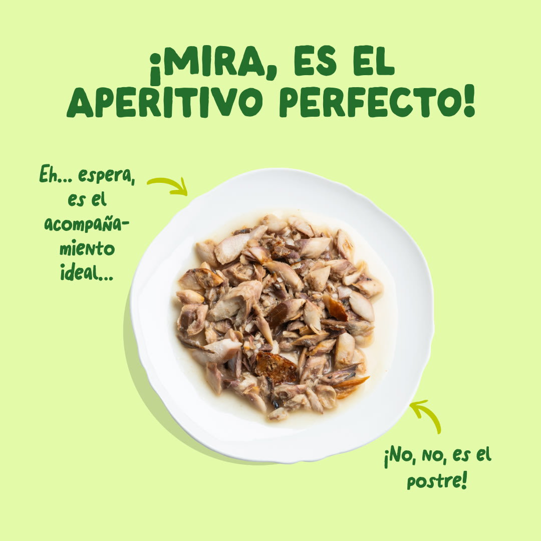 4 Cat-Fillets DTC ES MackerelNatural TopView