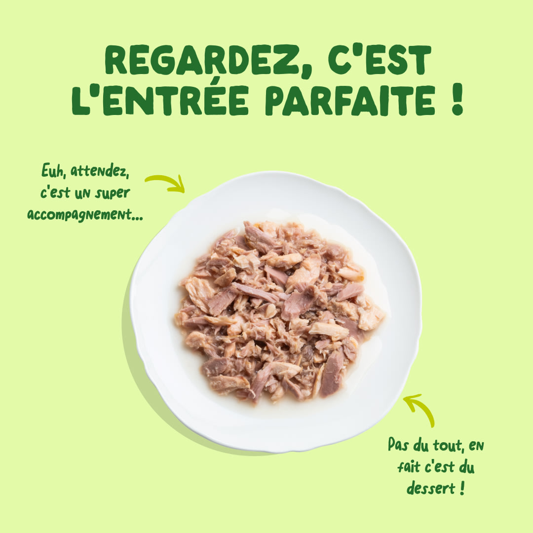 4 Cat-Fillets DTC FR MackerelNatural TopView