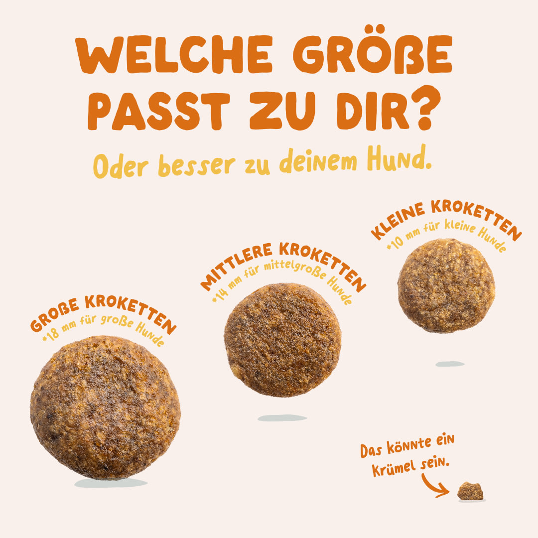 6 Dog-Refresh DTC-Assets DE Adult-OrganicTurkey SIZE