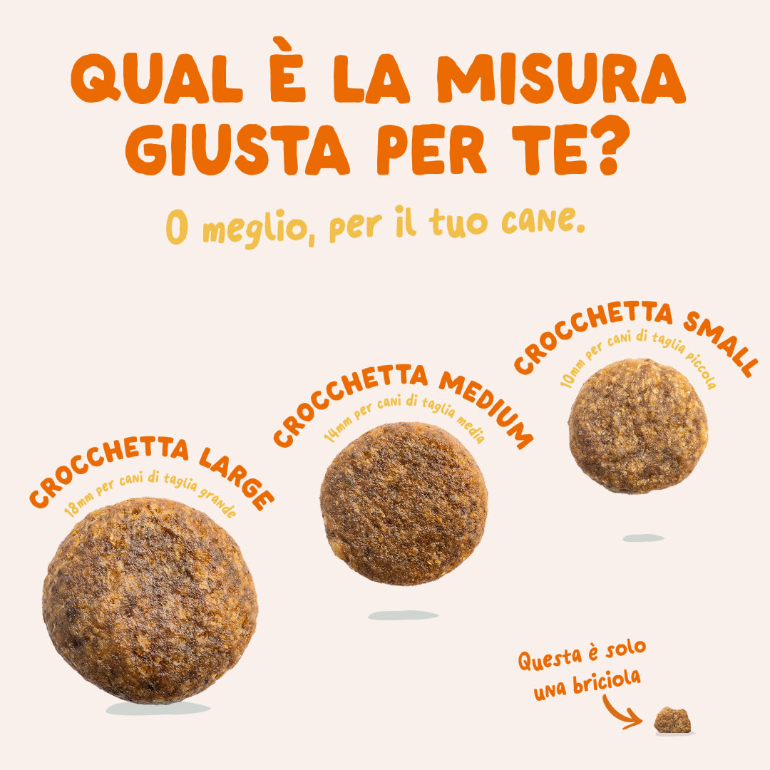 6 Dog-Refresh DTC-Assets IT Organic-Turkey SIZE