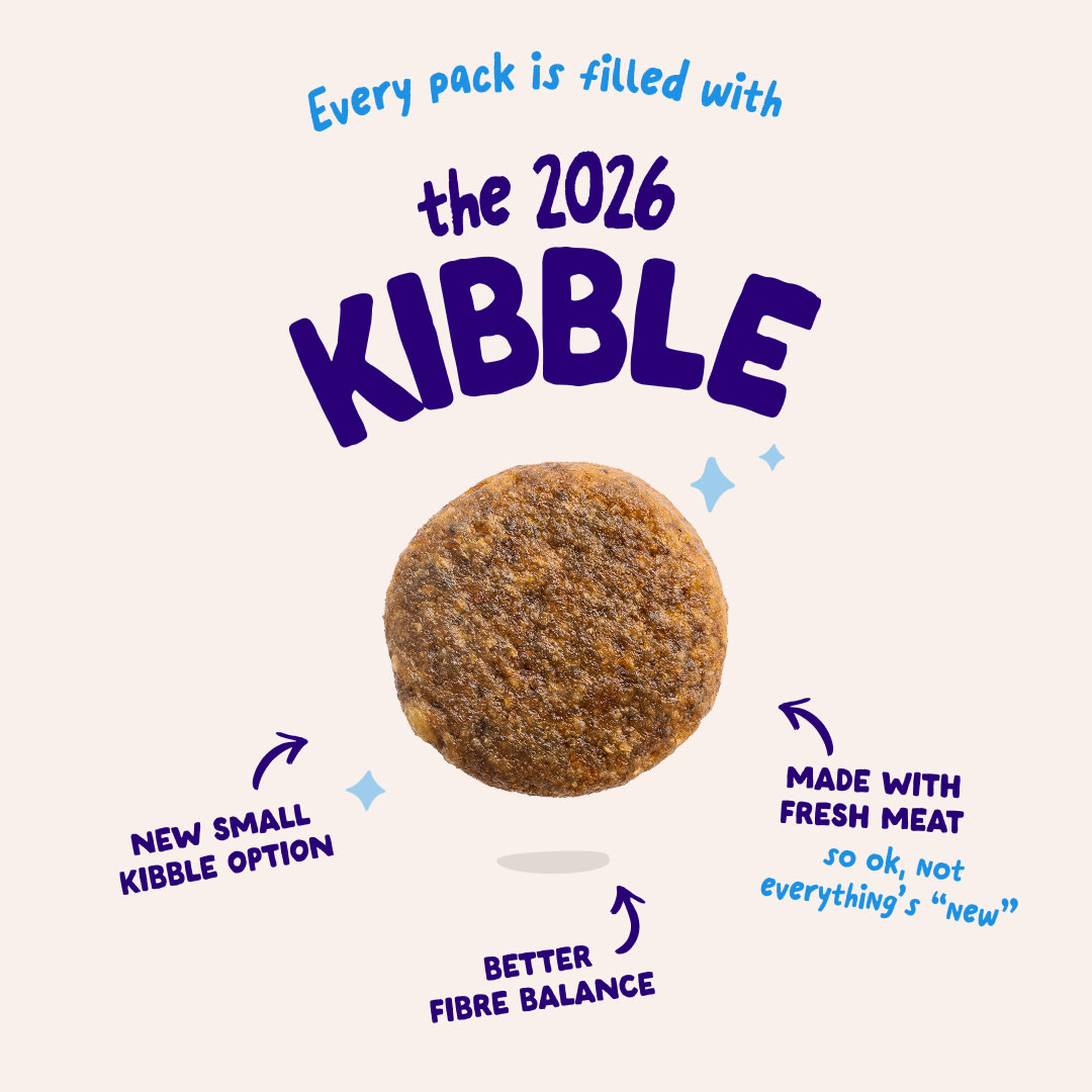 3 Dog-Refresh DTC-Assets Adult-Salmon 2026 KIBBLE