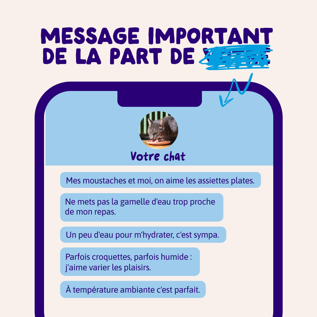 11 Chunks-Pouches DTC FR FishMP Messages