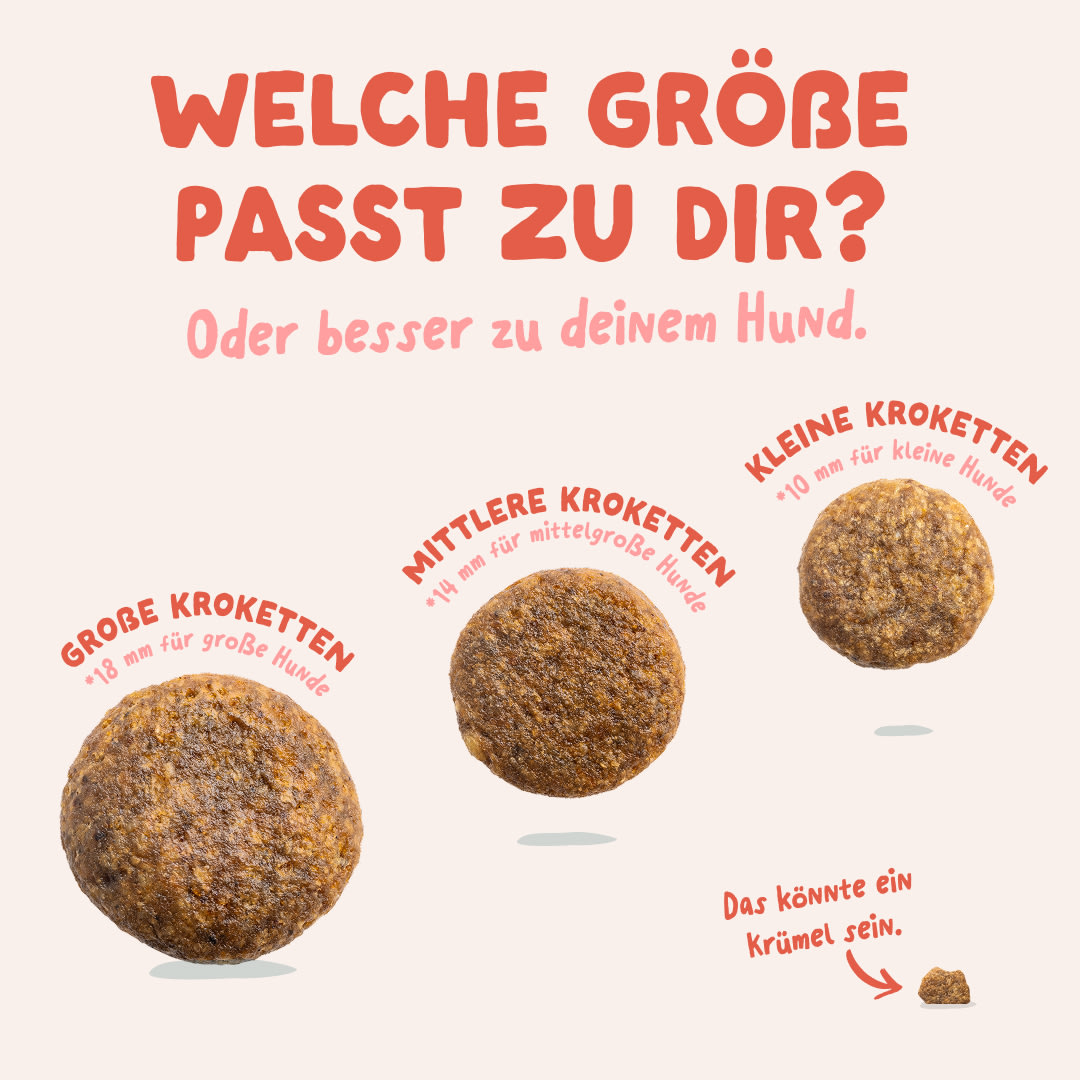 6 Dog-Refresh DTC-Assets DE Senior-Chicken SIZE