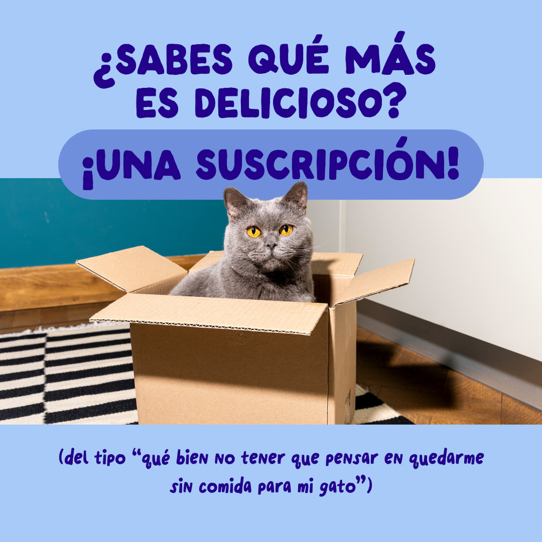 9 Cat-Fillets DTC ES TunaChicken Subscription