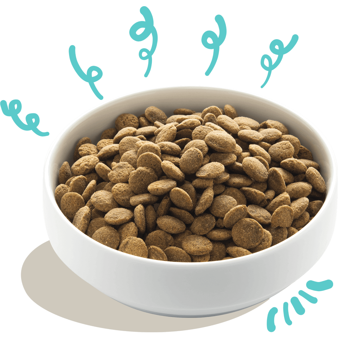 productDogBowl