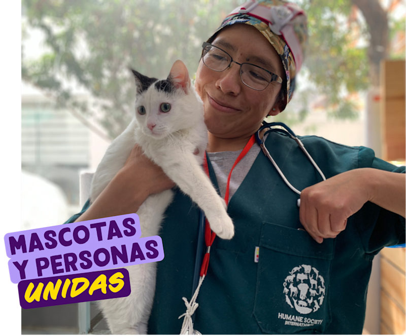 charity-es