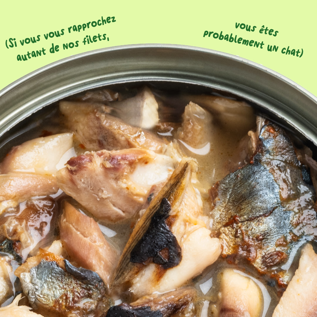 6 Cat-Fillets DTC FR MackerelNatural Texture