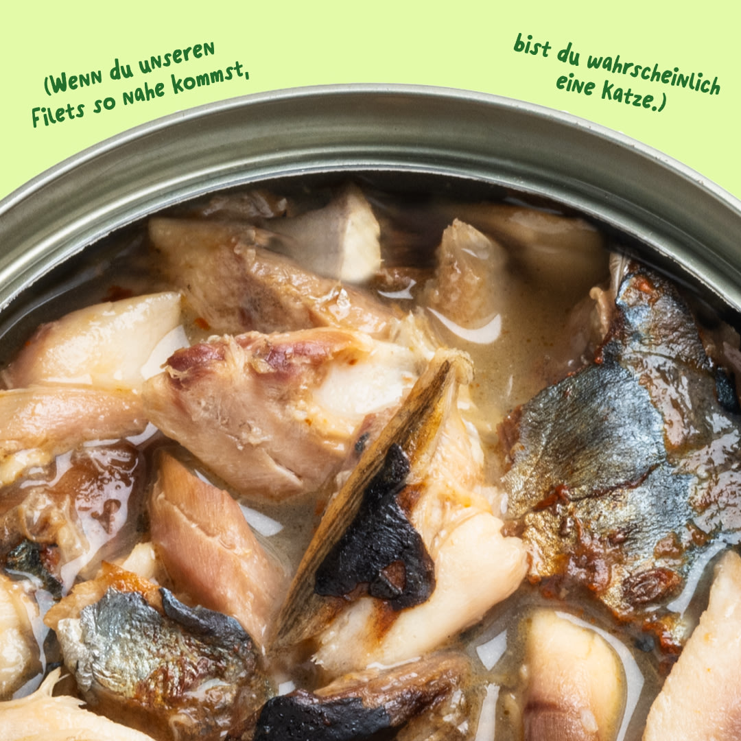 6 Cat-Fillets DTC DE MackerelNatural Texture
