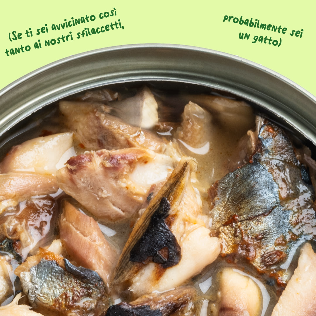 6 Cat-Fillets DTC IT MackerelNatural Texture