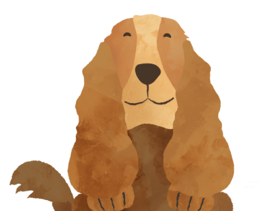Articles for dogs