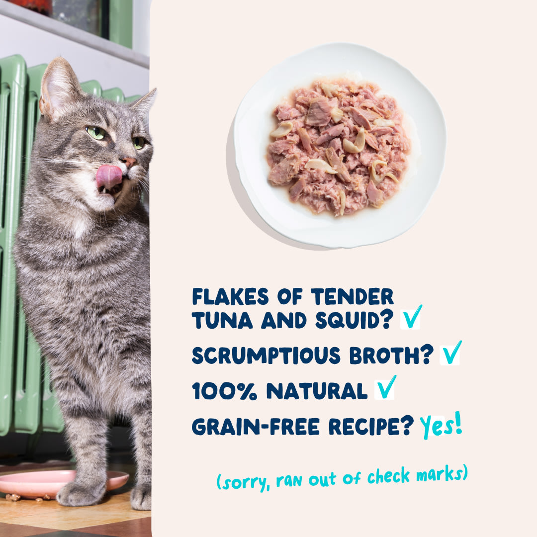 5 Cat-Fillets DTC EXP TunaSquid USPs