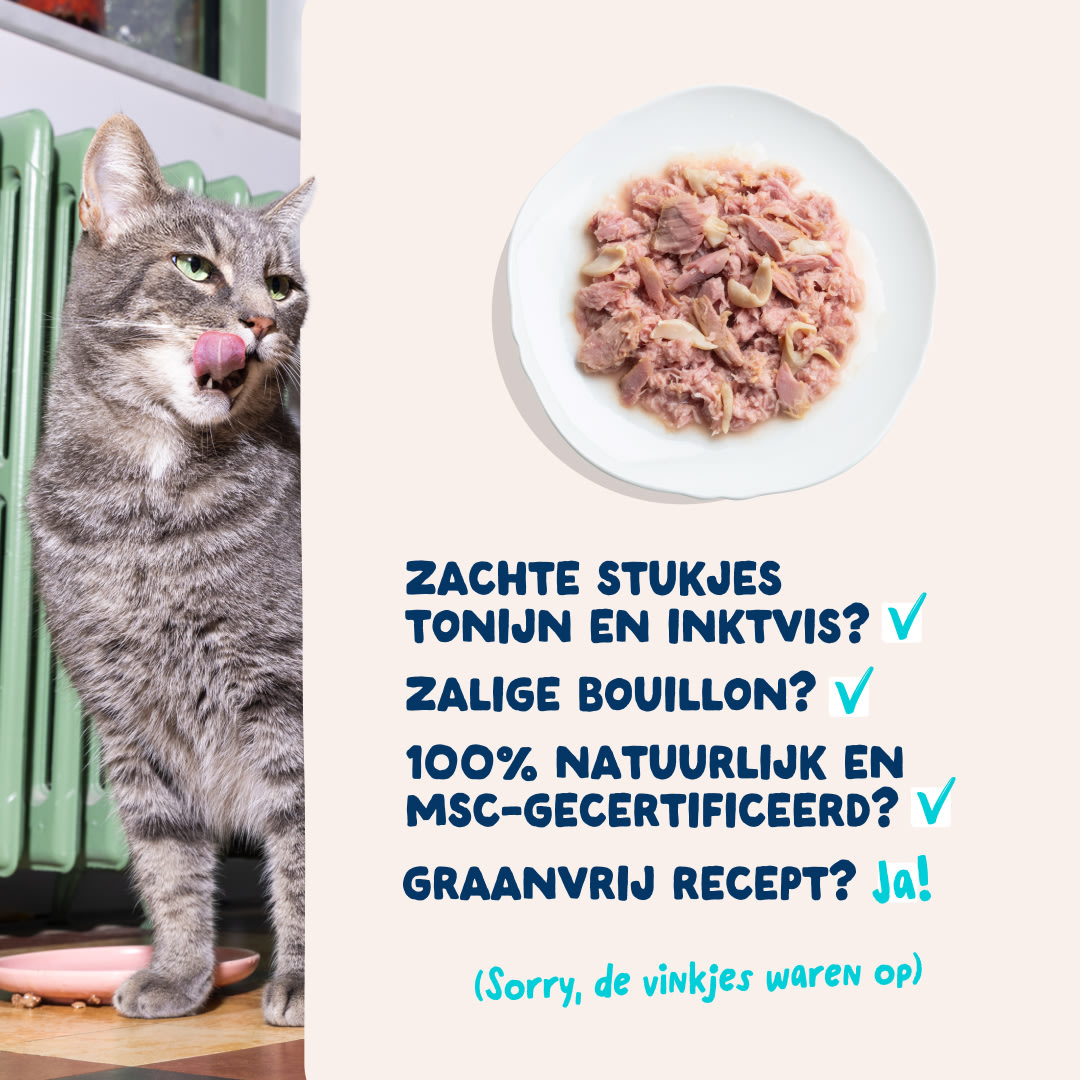 5 Cat-Fillets DTC NL TunaSquid USPs